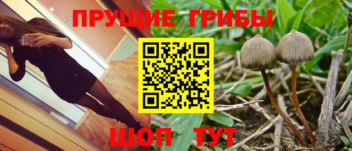 Славгород  Галлюциногенные грибы мицелий  Вход с VPN  Галлюциногенные грибы Magic Shrooms 